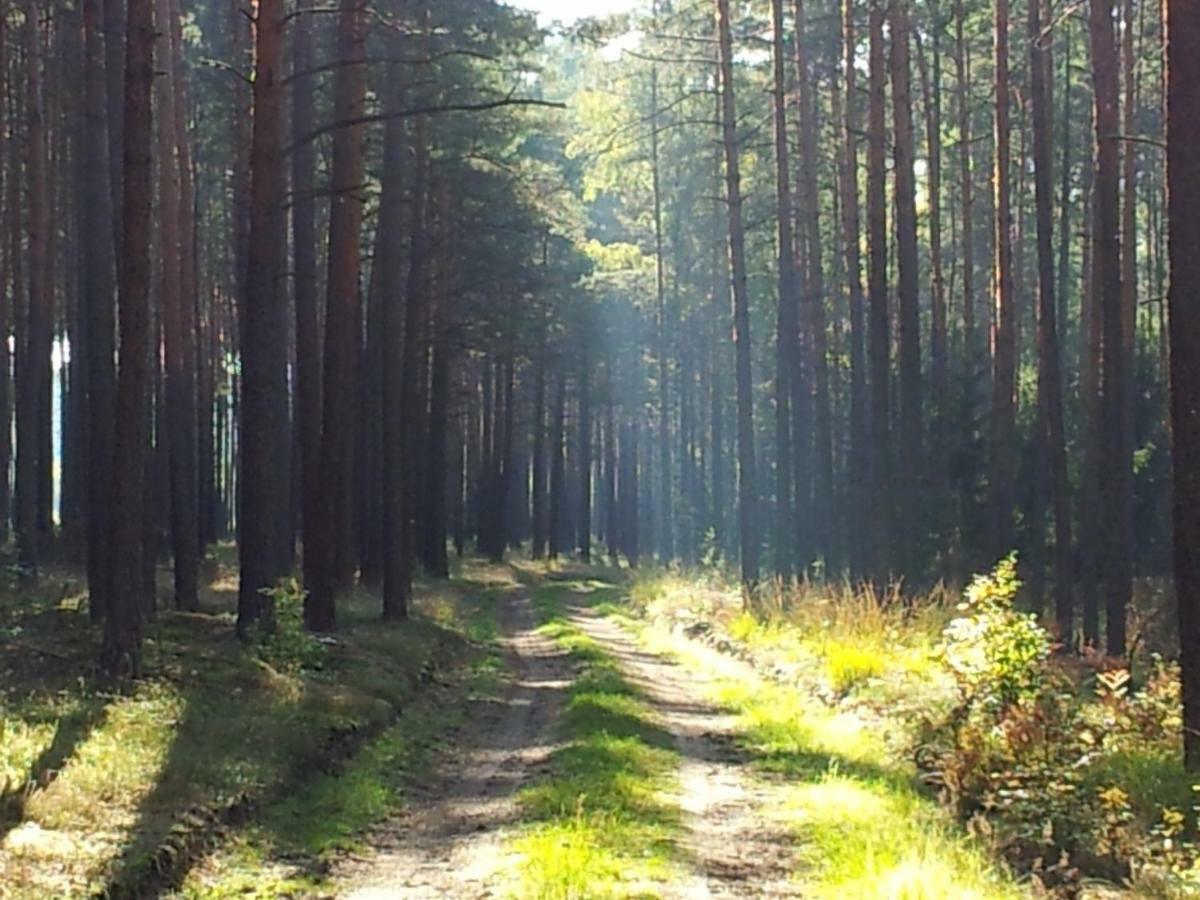 Stawy U Sikory - Dom Rybak - Agroturystyka I Lowisko Nowa Wies  Exteriör bild